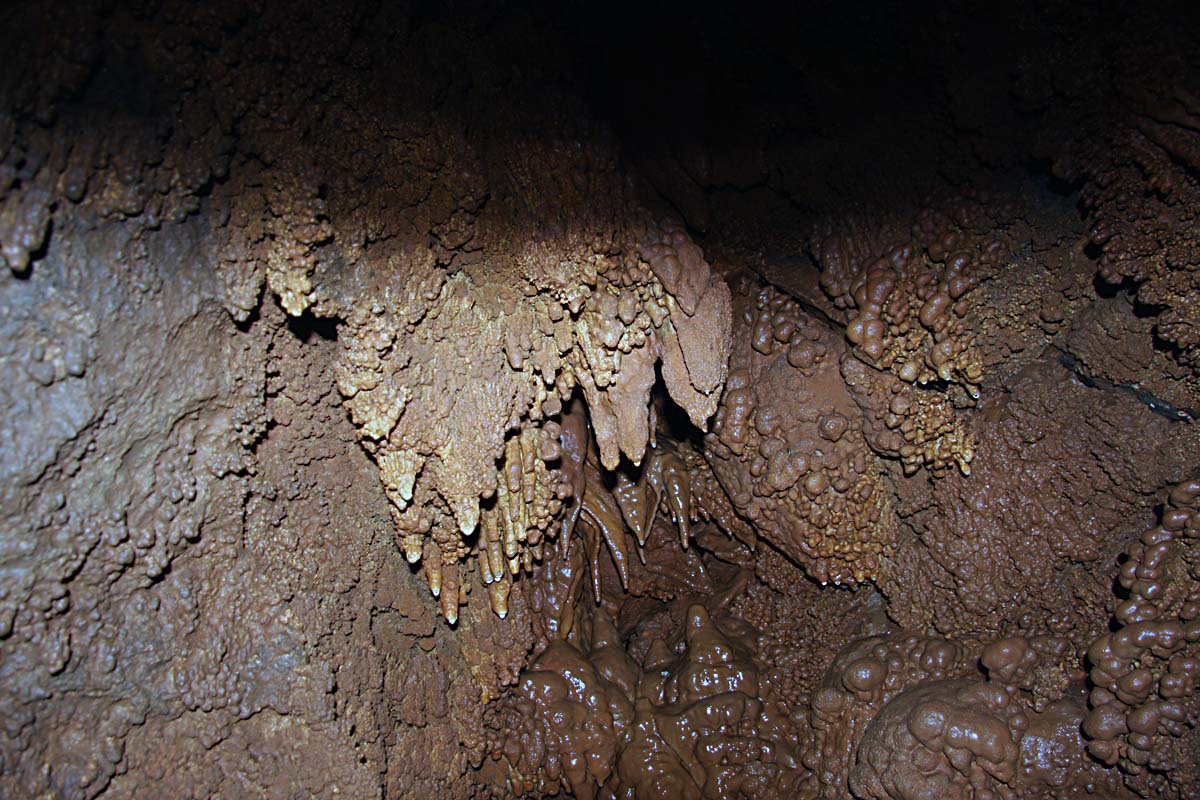 M 13.JPG